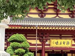 -庐山风景名胜区-东林大佛