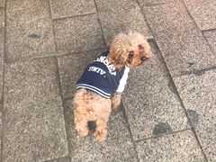 -南窖乡水峪村山情农家