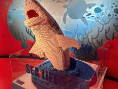 -沈阳海洋探索中心