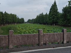 -昆承湖酒家·本帮农家菜
