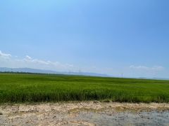 -野鸭湖国家湿地公园