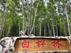 -茅兰沟国家森林公园