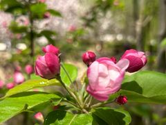 -元大都城垣遗址公园