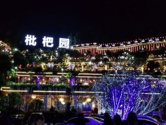 -枇杷园食为鲜火锅(南山店)