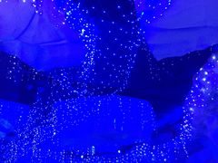 -芜湖新华联大白鲸海洋公园