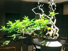 -湖滨客舍·湖北菜