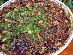 -新概念来凤鱼(璧山店)