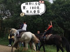 -太阳岛度假酒店