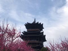 -杭州半山国家森林公园