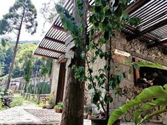 -MOJ coffee(瓯海泽雅水碓坑店)