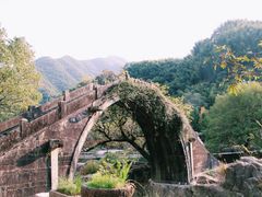 -鹿亭中村