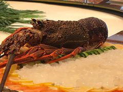 -潮府馆·非遗潮州菜·港式点心(世纪公园店)