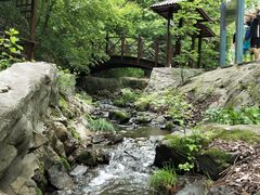 -天女山森林公园