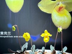 -北京植物园-展览温室