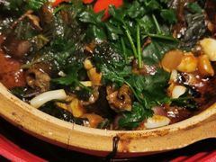 -谭厨中山传家菜.乳鸽.脆鲩鱼(华强北中航城店)