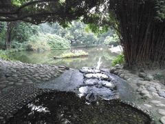 -成都市活水公园