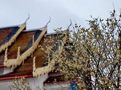 -报恩禅寺
