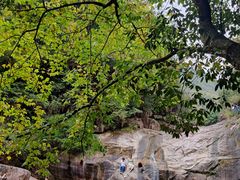 -黄山翡翠谷景区