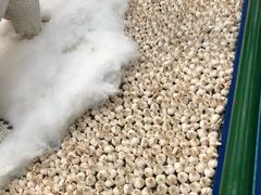 -兰陵国家农业公园