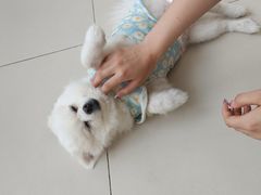 -怪兽屋·羊驼·猫咖·狗咖(俊华广场店)