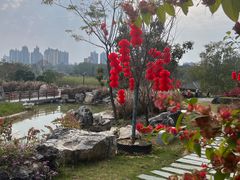 -广西壮族自治区药用植物园