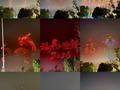-武汉园博园(武汉自然博物馆)