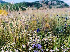 -白草畔自然风景区