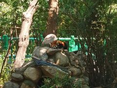 -西安秦岭野生动物园