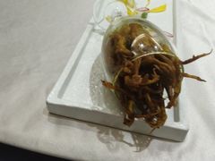 -鸭王烤鸭店(三里河店)