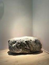 -Tao瑜伽