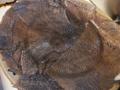 -周幺妹重庆老火锅(银泰城总店)