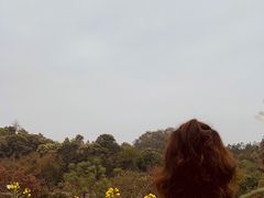 -红山村
