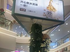-野人先生Gelato(上海长宁龙之梦店)