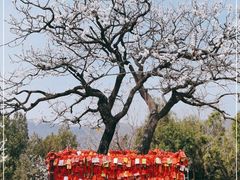 -香山公园