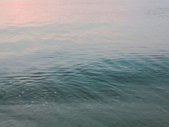 -营口金泰珑悦海景大酒店