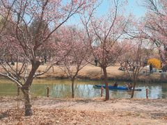-北京奥林匹克公园