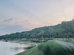 -羊山湖公园