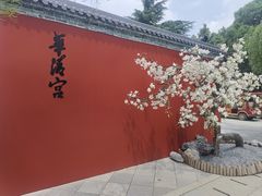 -华清宫景区