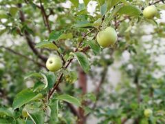 -北京国家会计学院