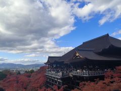 -有栖山 清光院 清水寺