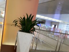 -麦当劳(上海虹桥站30B检票口楼上)