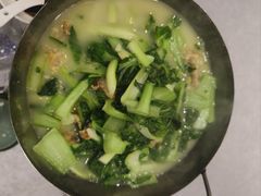 -丁老爷子苏香圆