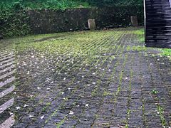 -中国美术学院象山校区-民艺博物馆
