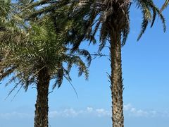 -白沙门生态公园