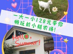 -前小桔亲子创意农场·草莓采摘·露营烧烤