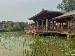 -洛阳古墓博物馆