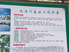 -广州市流溪河国家森林公园
