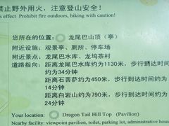 -午潮山国家森林公园