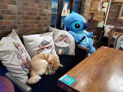 -more than meow吴止猫主题餐厅(承德 中船汇店)