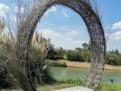 -嘉北郊野公园北游客中心-地上停车场